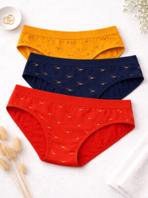 Soft Cotton Hipster Panty for Women Pack of 3 Multicolor