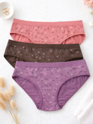 Women Breathable Hipster Panties Pack of 3 Multicolor