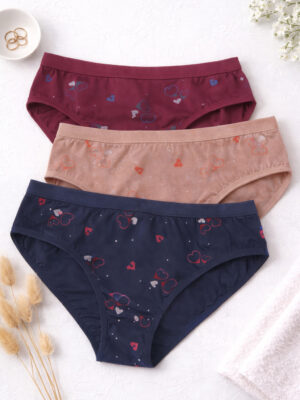 Women Casual Wear Hipster Panty Pack of 3 Multicolor