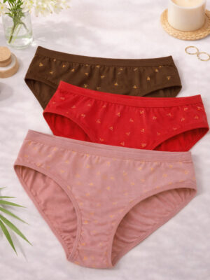 Ladies Daily Wear Hipster Panty Pack of 3 Multicolor